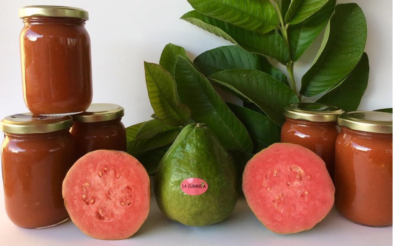 guayaba
